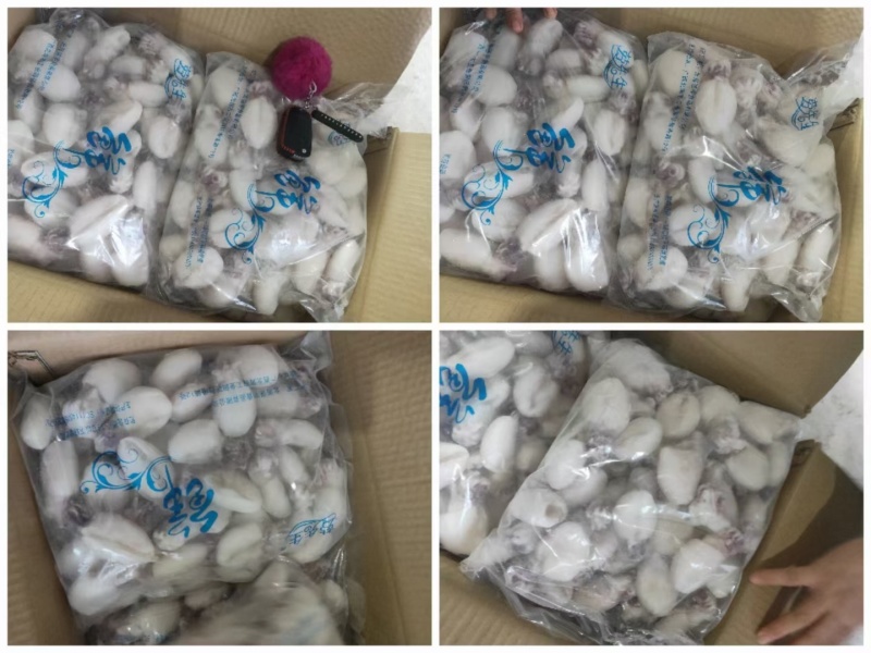 真空袋装，散装，墨鱼仔各种规格品种都有，捞汁小海鲜专用