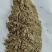 大豆粉优质植物蛋白饲料含有丰富的蛋白质厂家直销