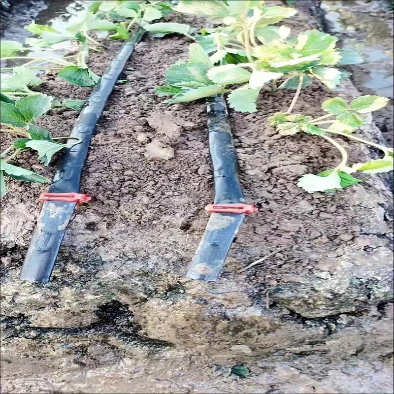 1寸管滴灌带截流夹毛带卡子毛管截流夹喷灌堵头微喷带截流卡