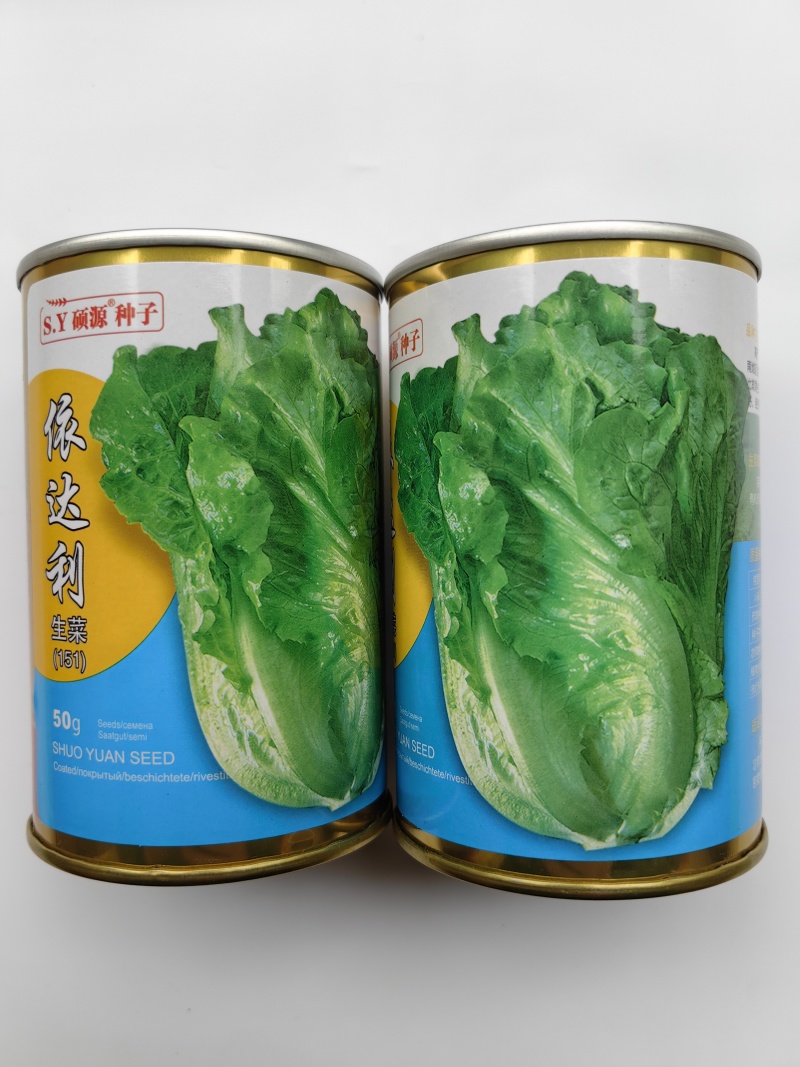硕源依达利生菜种子意大利耐热耐抽翠绿无苦味四季生菜蔬菜种