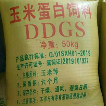 DDGS玉米酒糟蛋白饲料猪牛羊酒糟通用代替玉米量大从优