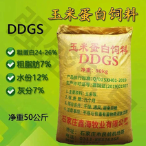 DDGS玉米酒糟蛋白饲料猪牛羊酒糟通用代替玉米量大从优