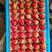 鲜货草莓丹东红颜草莓丹东草莓大量供应质量好欢迎来电