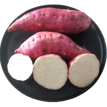 【全国代发】红皮白心地窖红薯适合蒸煮烤吃