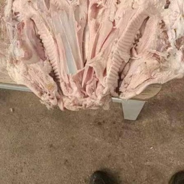 【猪头肉】