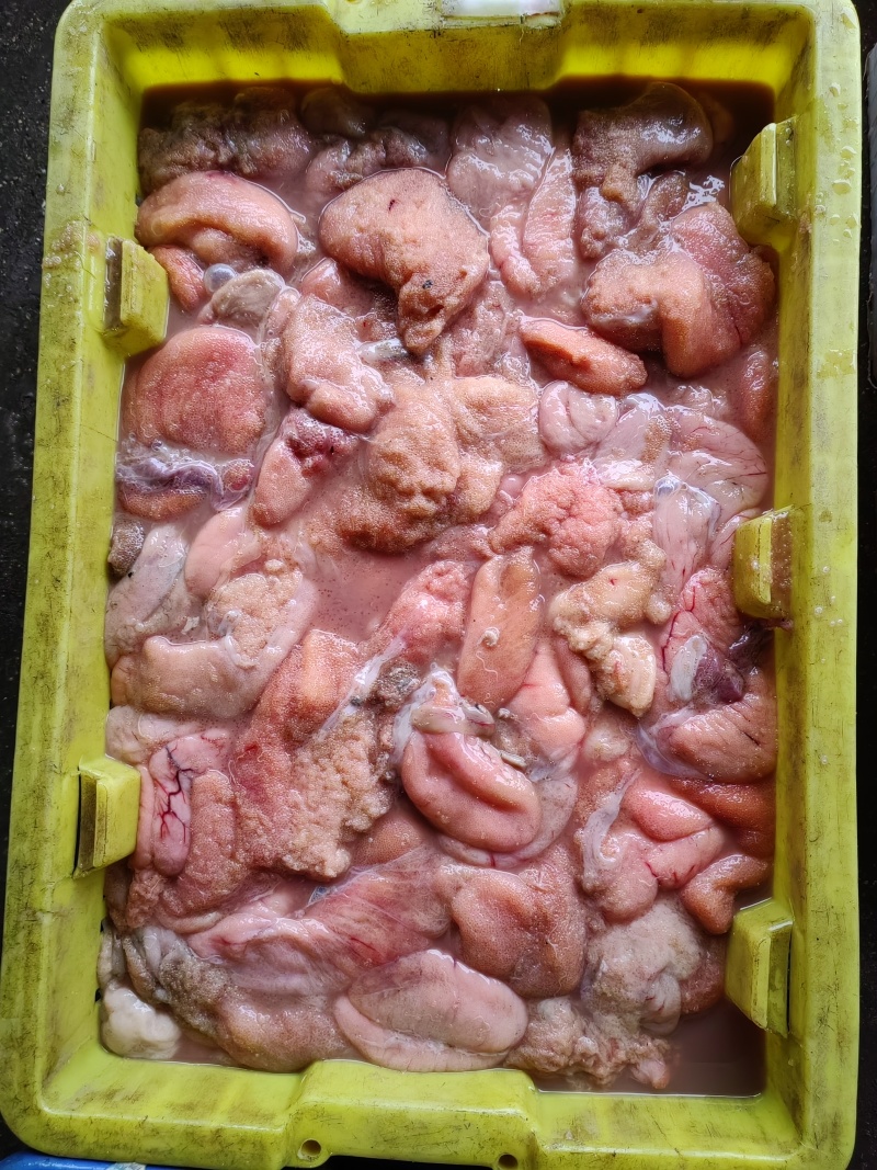 嘎鱼籽