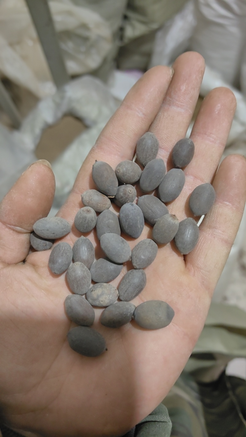 石莲子地道药材产地湖南万信药业只做保真药材