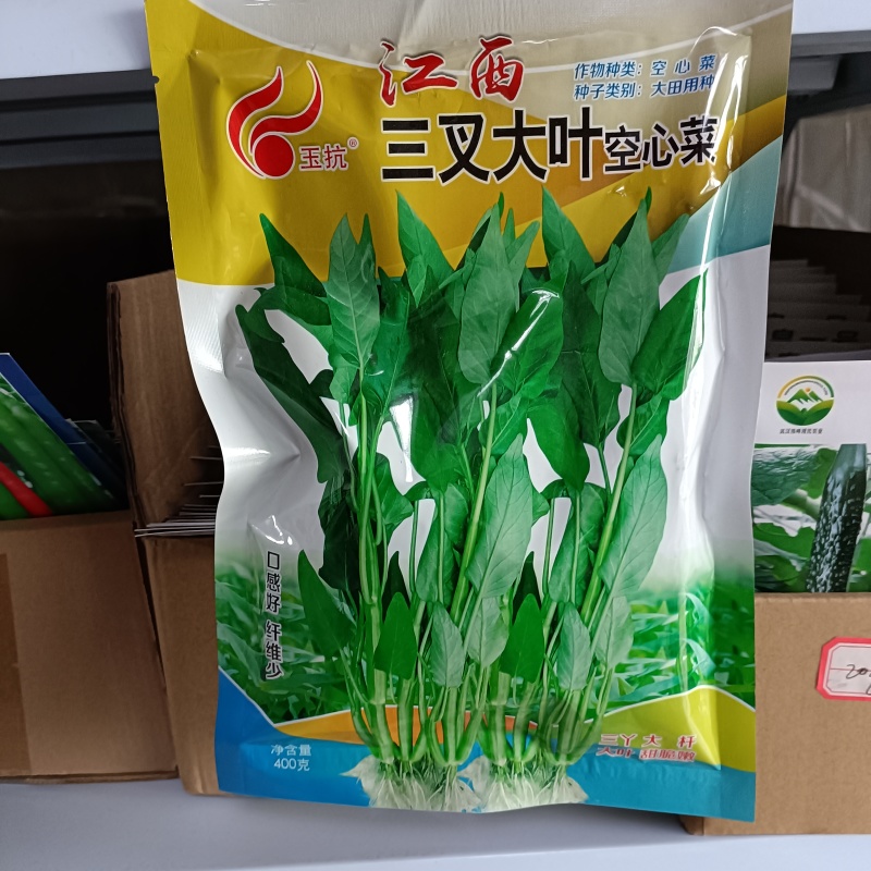 三叉空心菜种子鲨鱼大叶空心菜种籽批发多次采收空心菜种子