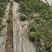 大棚西瓜