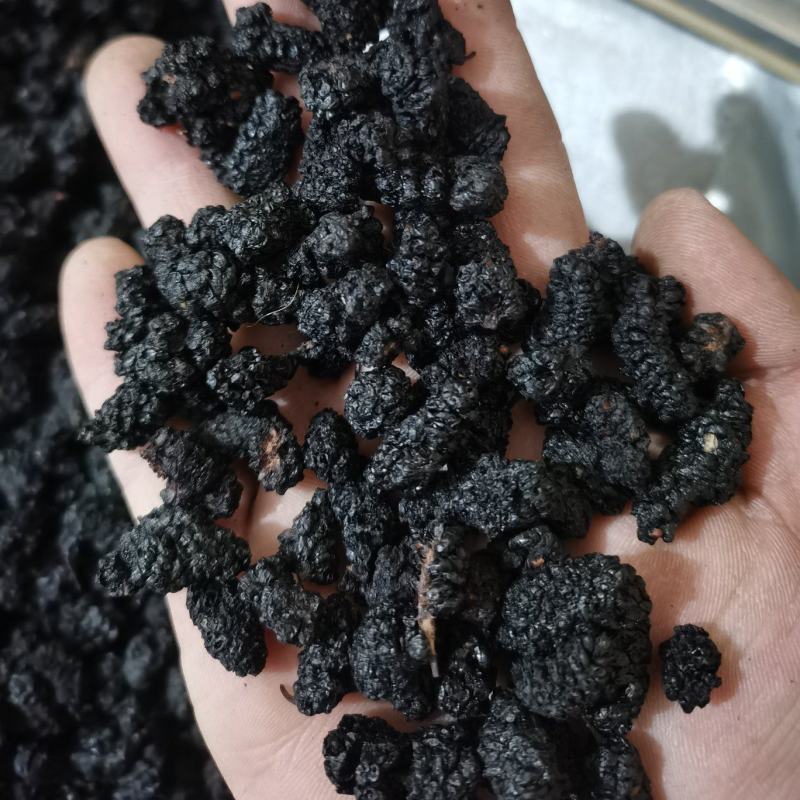 桑椹子药用食用泡茶用天然健康泽润中药