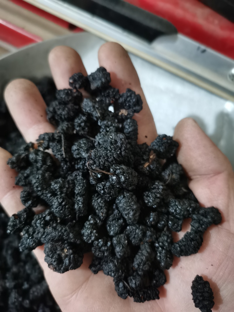 桑椹子药用食用泡茶用天然健康泽润中药