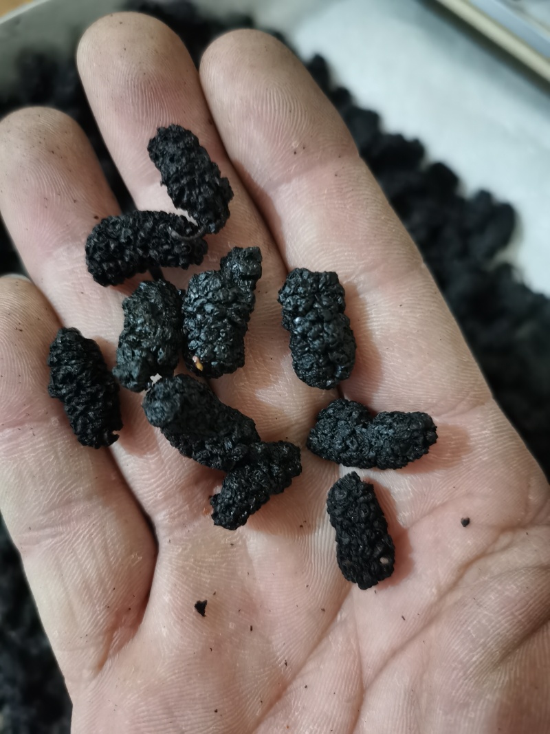 桑椹子药用食用泡茶用天然健康泽润中药