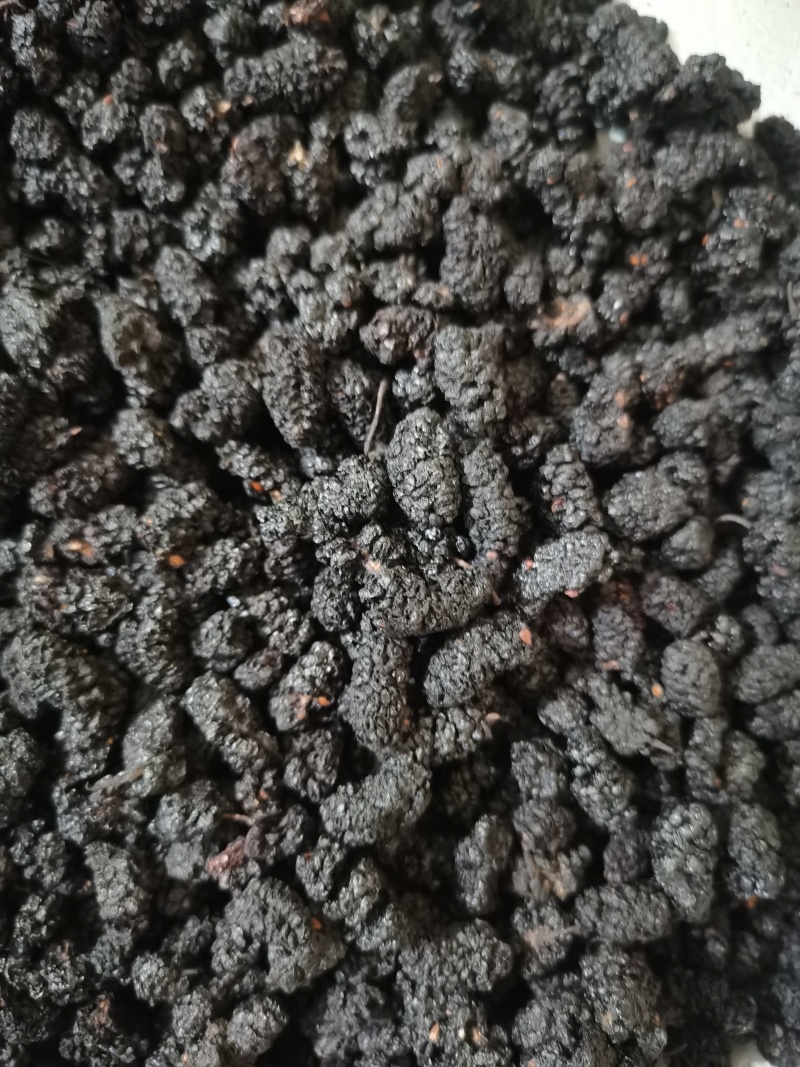 桑椹子药用食用泡茶用天然健康泽润中药