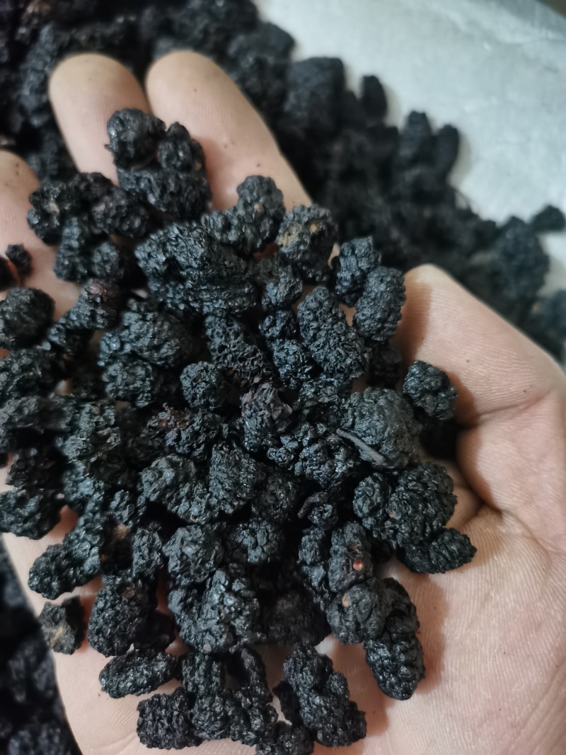 桑椹子药用食用泡茶用天然健康泽润中药