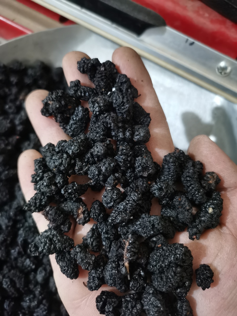 桑椹子药用食用泡茶用天然健康泽润中药