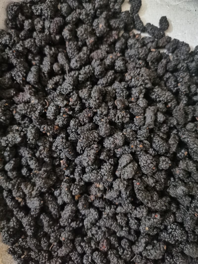 桑椹子药用食用泡茶用天然健康泽润中药