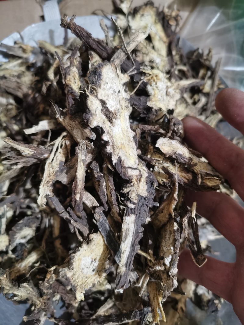 藁本过2个筛子藁本泽润中药批发零售各种中药材