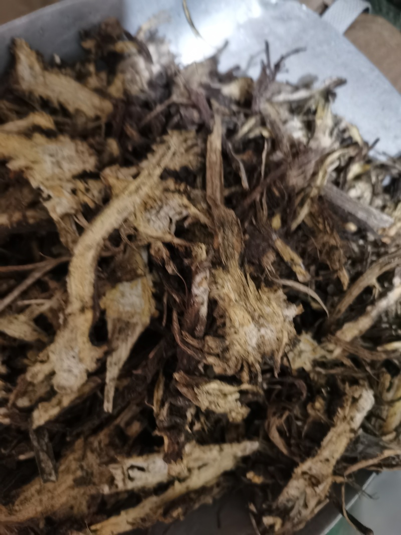 藁本过2个筛子藁本泽润中药批发零售各种中药材