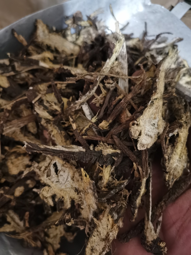 藁本过2个筛子藁本泽润中药批发零售各种中药材