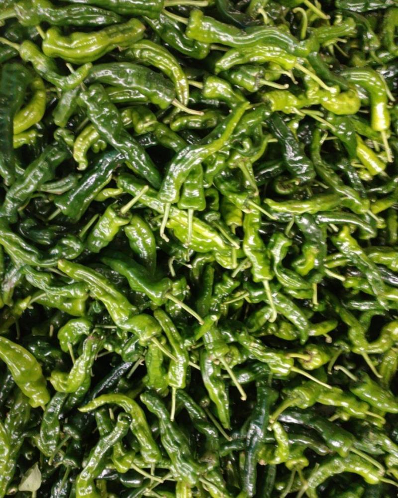 红螺线，皱皮椒