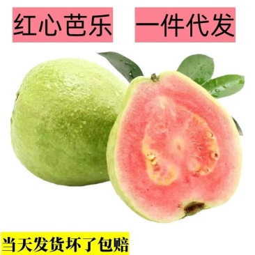 红心芭乐当季新鲜水果脆甜珍珠番石榴整箱发货一件代发
