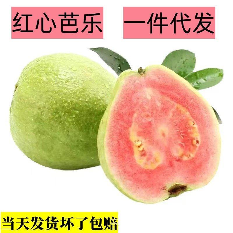 红心芭乐当季新鲜水果脆甜珍珠番石榴整箱发货一件代发