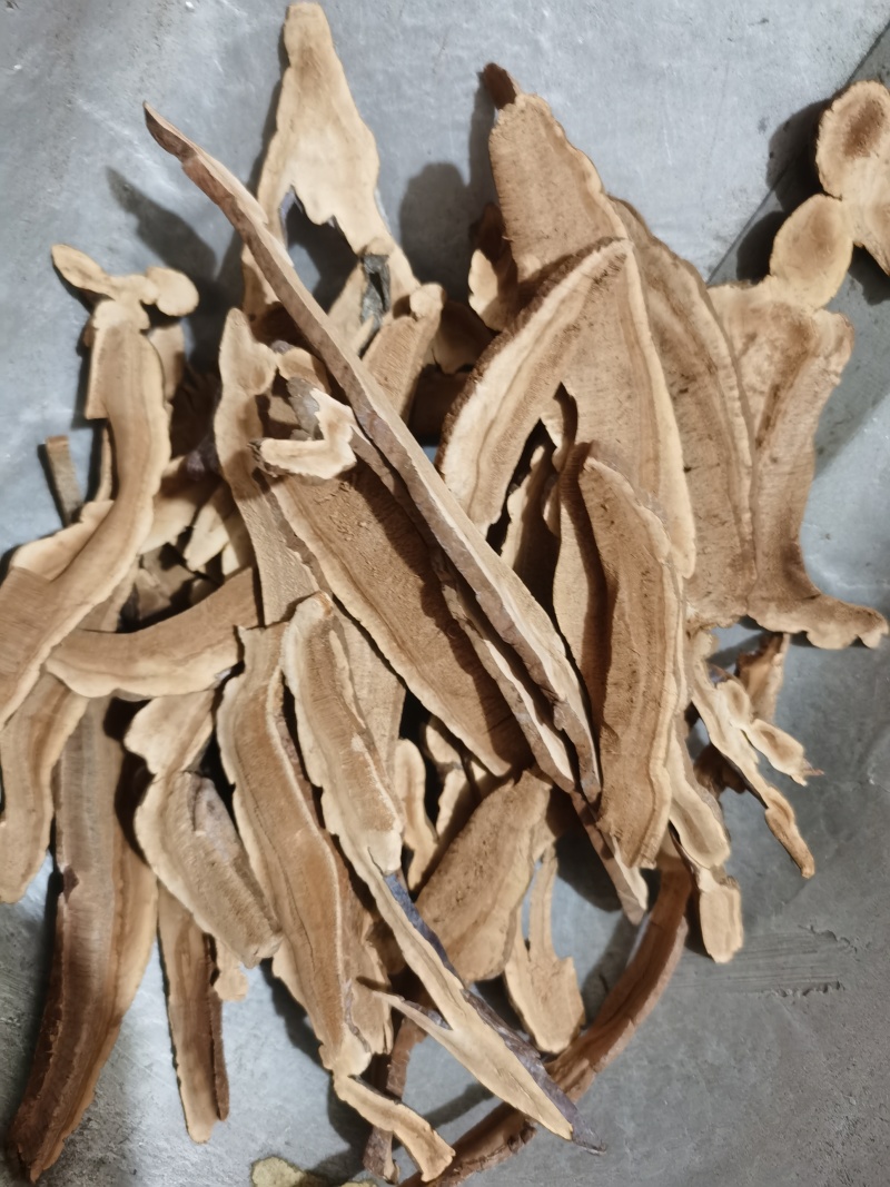灵芝家种灵芝泽润中药批发零售各种中药材