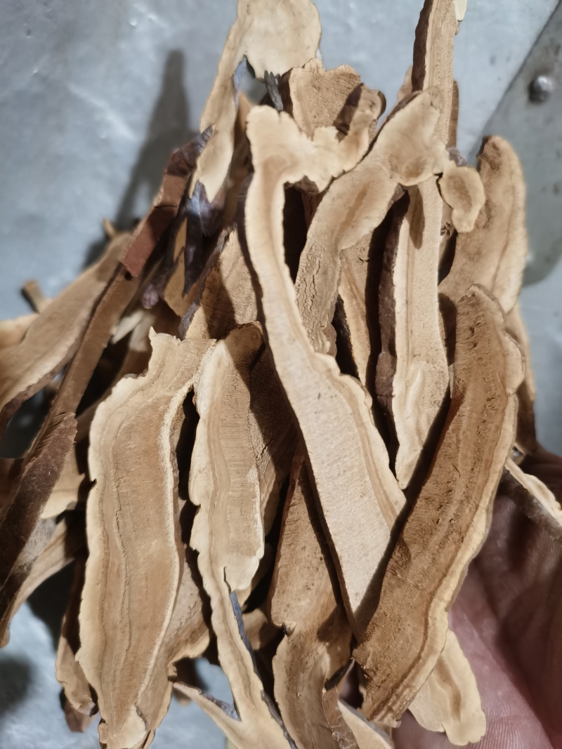 灵芝家种灵芝泽润中药批发零售各种中药材