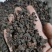 没药醋炙没药泽润中药批发零售各种中药材