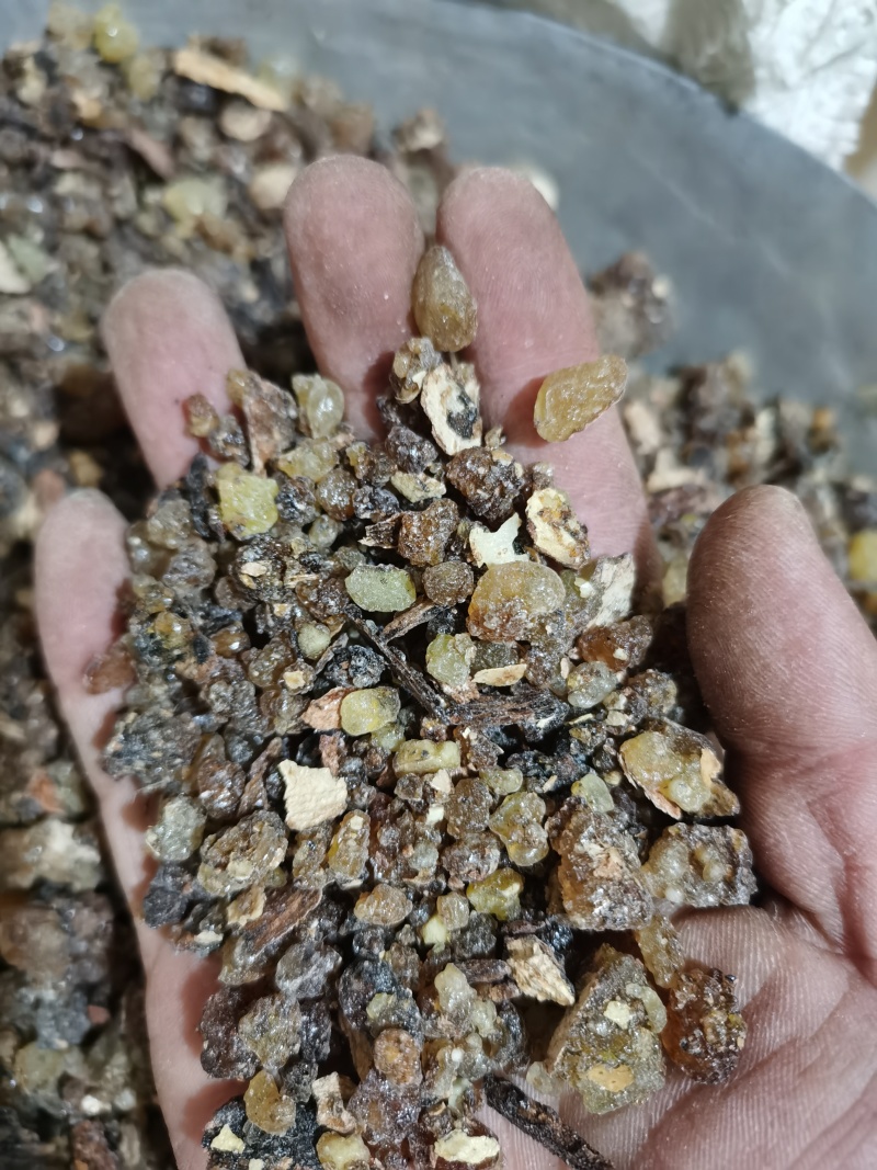 乳香醋炙乳香泽润中药批发零售各种中药材