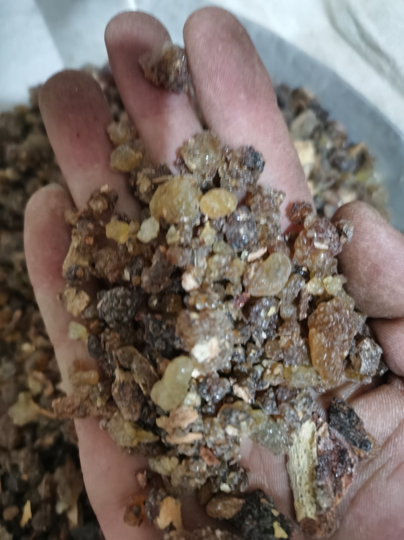 乳香醋炙乳香泽润中药批发零售各种中药材