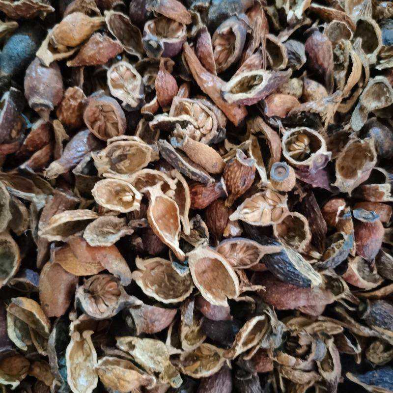 金樱子泽润中药批发零售各种中药材