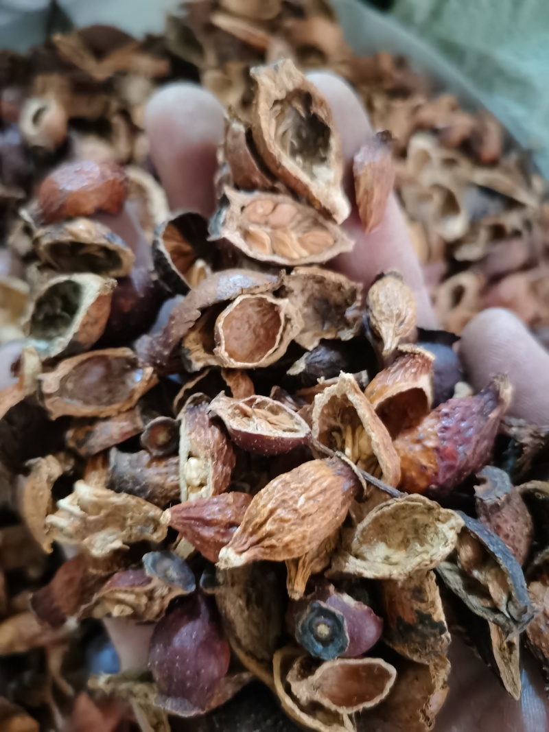 金樱子泽润中药批发零售各种中药材