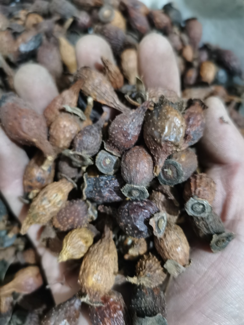 金樱子泽润中药批发零售各种中药材