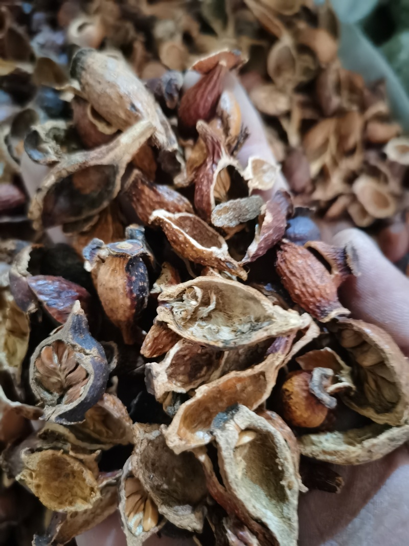金樱子泽润中药批发零售各种中药材