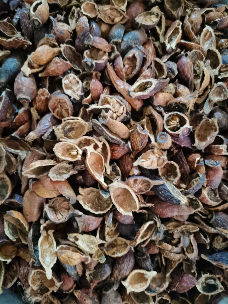 金樱子泽润中药批发零售各种中药材
