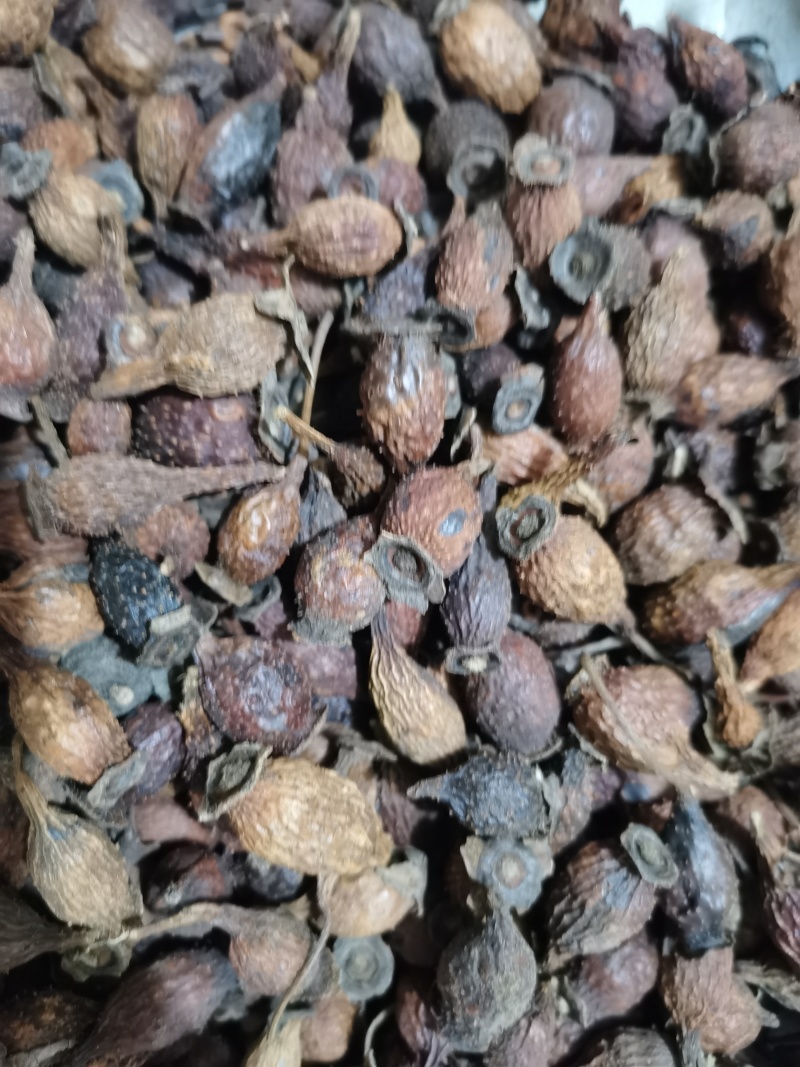 金樱子泽润中药批发零售各种中药材