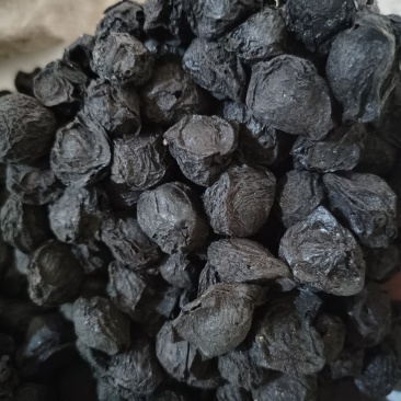 乌梅药大颗粒乌梅泽润中药批发零售各种中药材