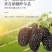 新疆桑葚干，优质农产品，颗粒饱满，无沙果！