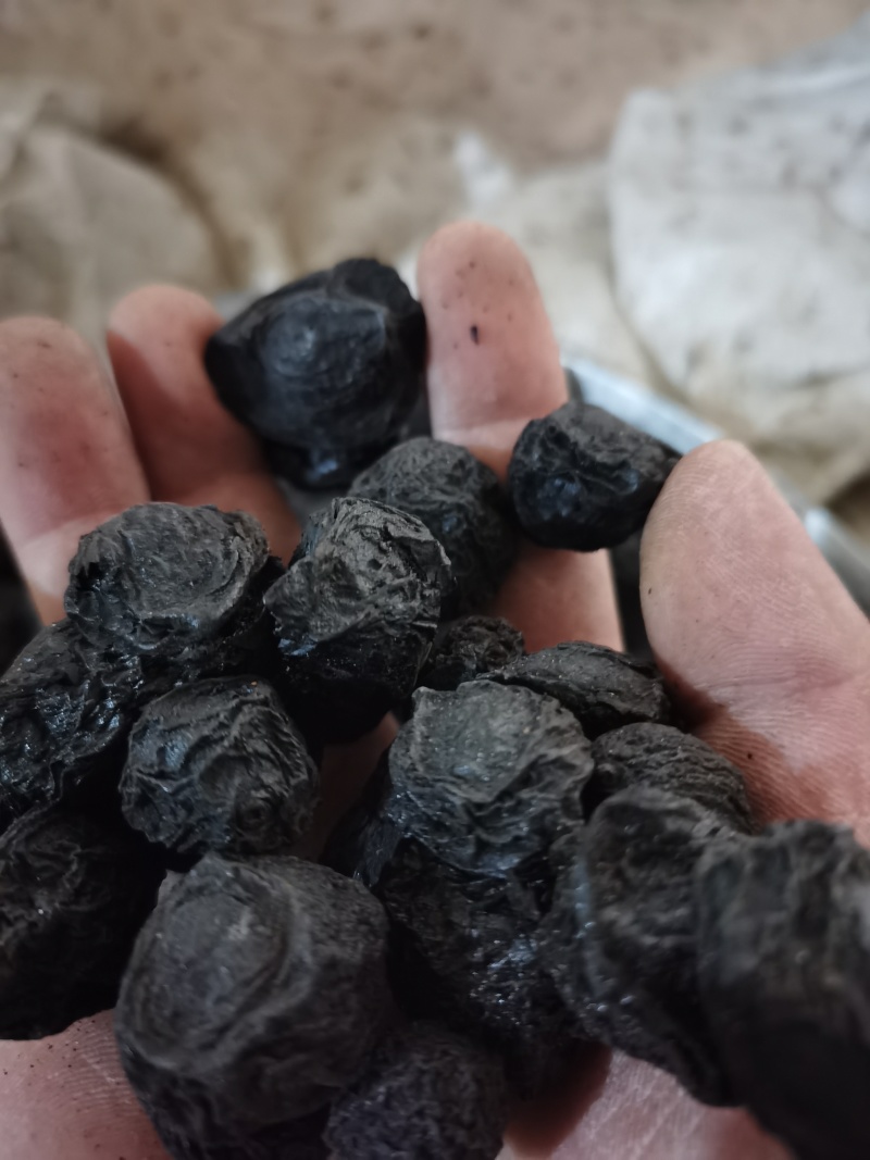 乌梅药大颗粒乌梅泽润中药批发零售各种中药材