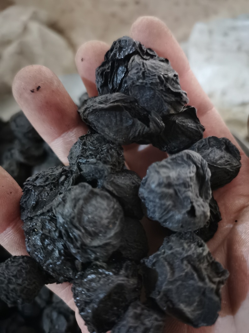 乌梅药大颗粒乌梅泽润中药批发零售各种中药材