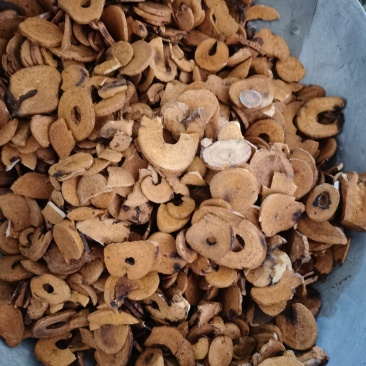 白芍炒白芍泽润中药批发零售各种中药材