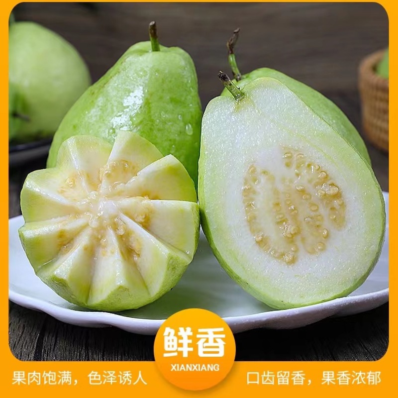 现摘白心芭乐番石榴当季新鲜水果脆甜爽口整箱发货一件代发