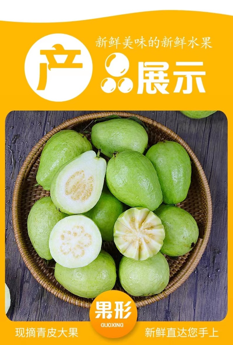 现摘白心芭乐番石榴当季新鲜水果脆甜爽口整箱发货一件代发