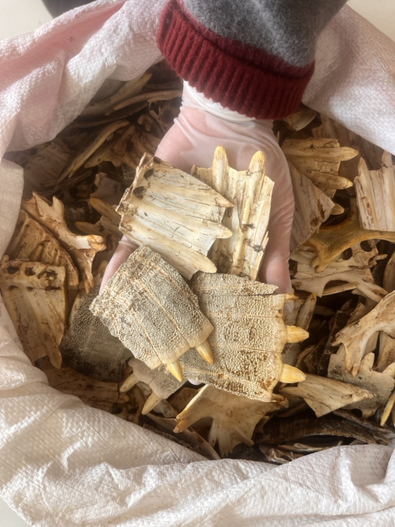 鳖甲正品无硫纯干货批发零售
