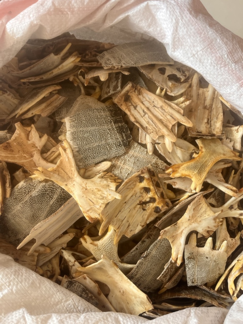 鳖甲正品无硫纯干货批发零售