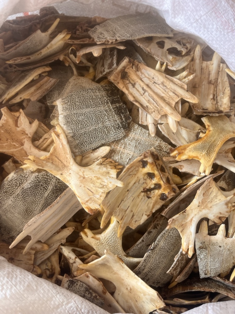 鳖甲正品无硫纯干货批发零售