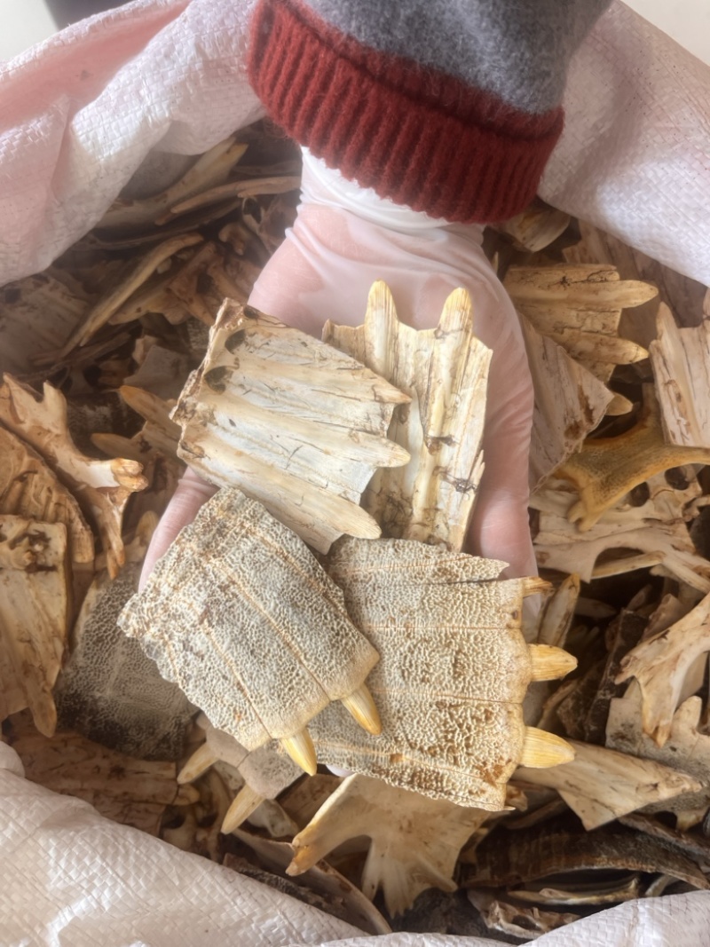 鳖甲正品无硫纯干货批发零售