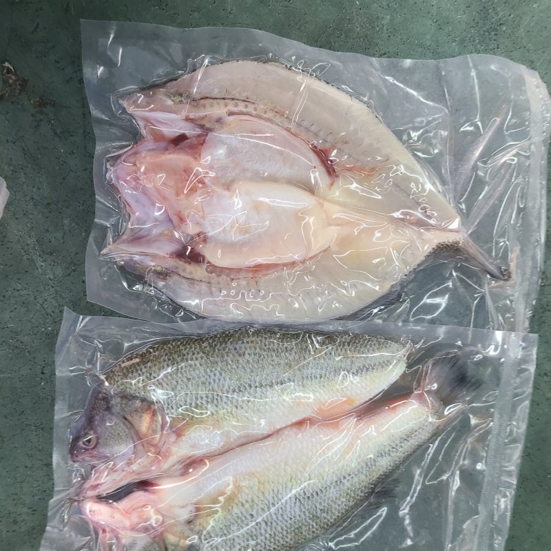 三去加州鲈鱼，酒席。酒店**，长年有货，源头工厂