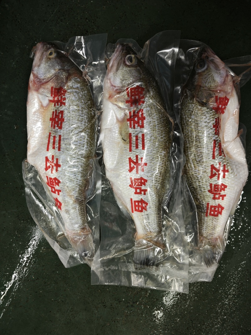 三去加州鲈鱼，酒席。酒店**，长年有货，源头工厂